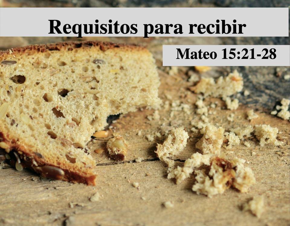 Requisitos Para Recibir